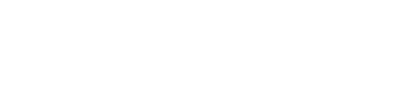 bellissimo-logo